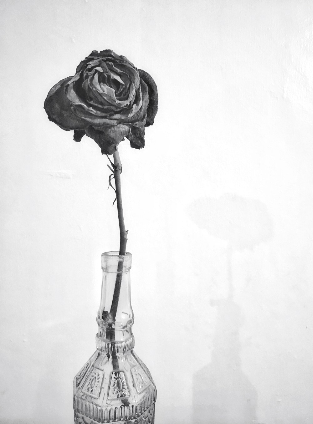 48D89F8D-5C6B-4767-A1E2-D8C7A2B50D44