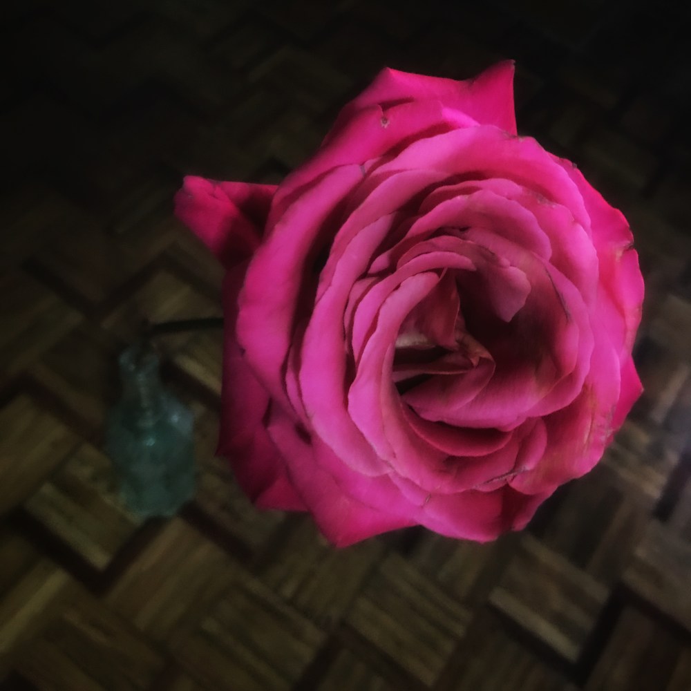 4E32F76C-083E-4003-A009-C1881A70487B