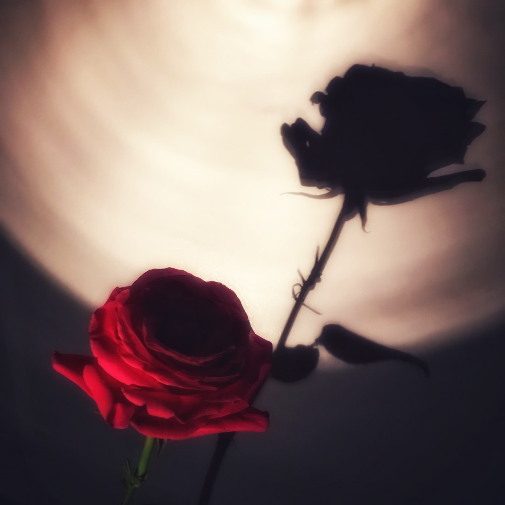 8C17483D-5AAD-4EBE-B217-0D01B8A9E829