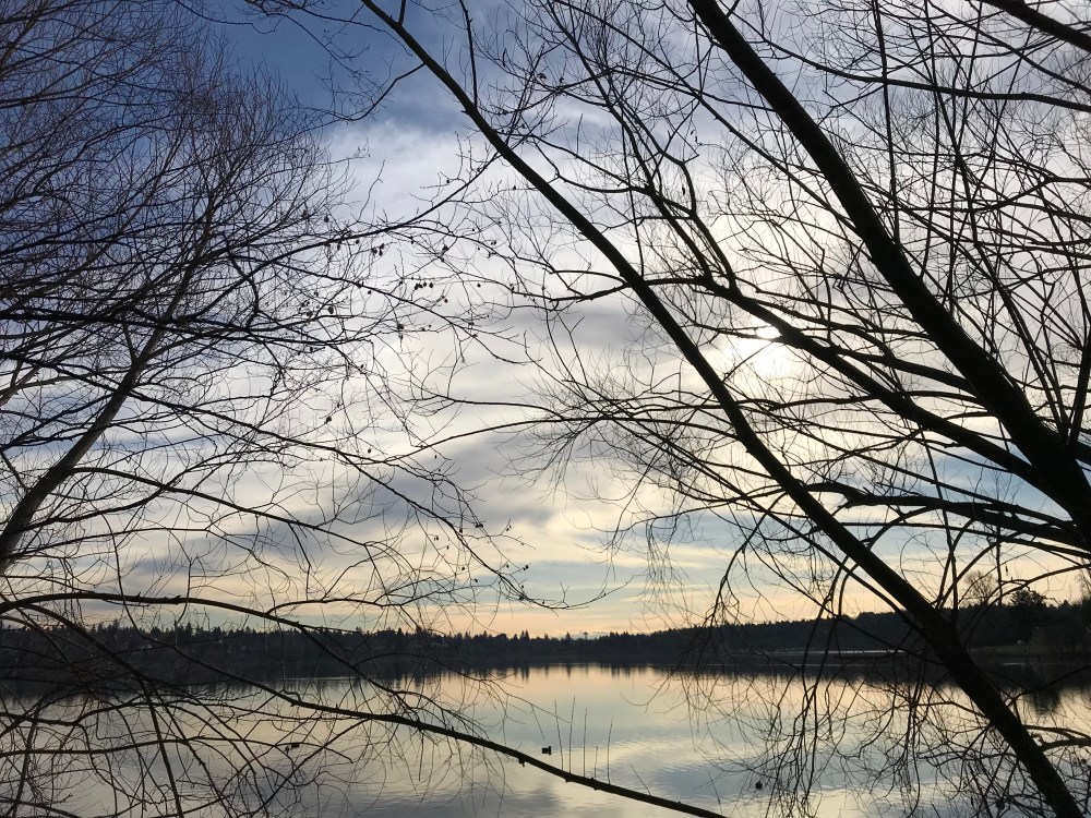 BD327C05-4BF6-4967-9E49-BC25F0E6F23B