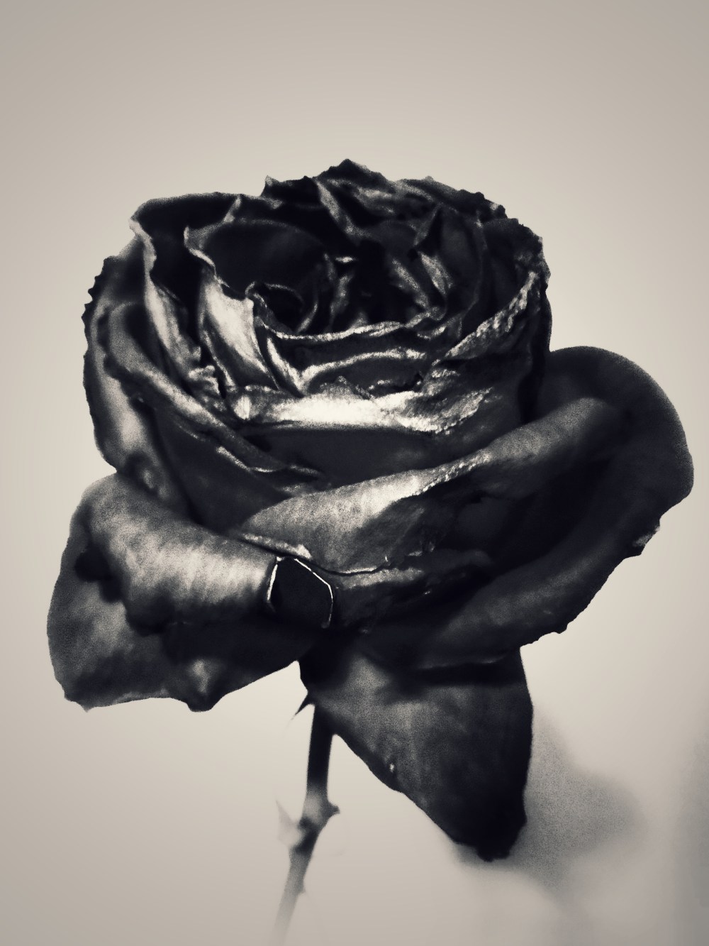 BDBF8467-2ABD-45BE-9327-2E02A9B72A1E