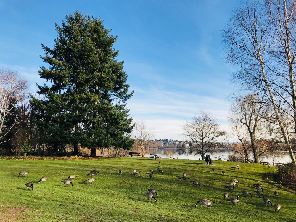 C581CAE6-EABF-48DF-8970-15D76D28760F