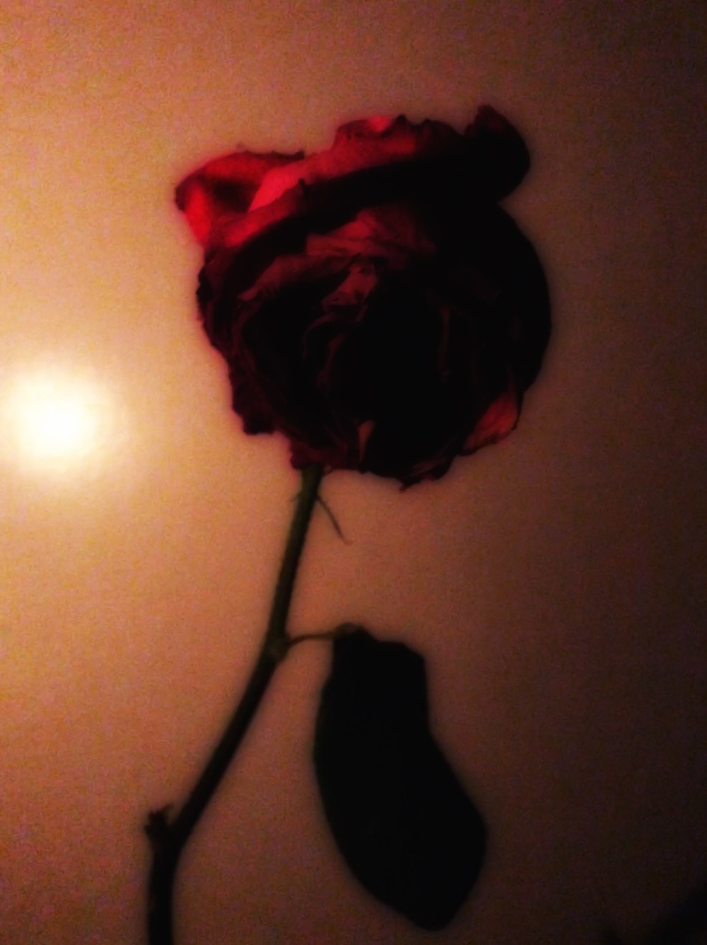 EA573541-3D3F-4F63-BB3F-668FC60063D1