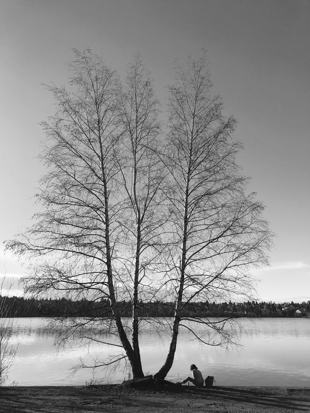 EF4ADAFD-5EE4-4D0E-ADB2-3DC9D2A07B15