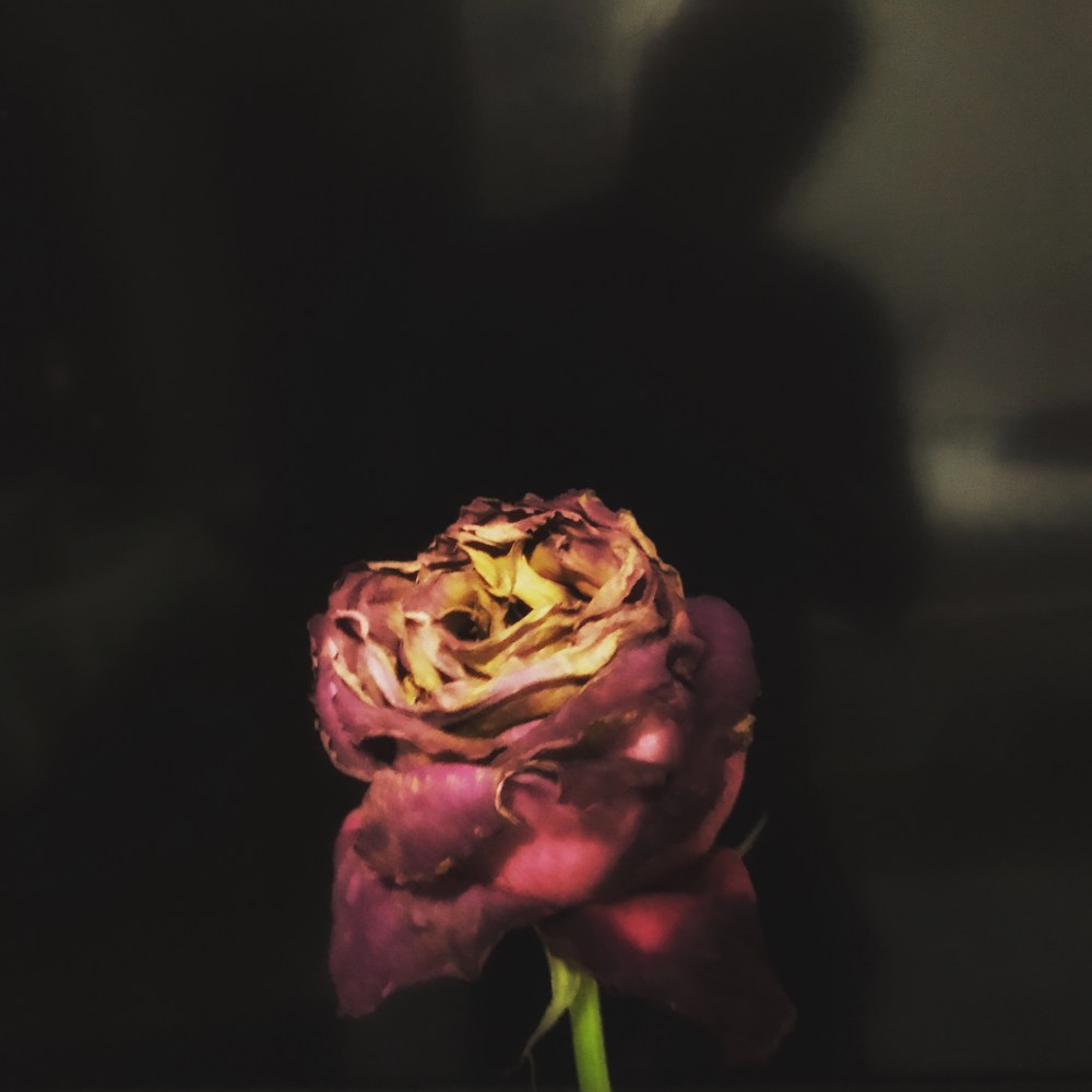 FE0BFED9-35BF-4F23-A78D-18A8127DA6A7