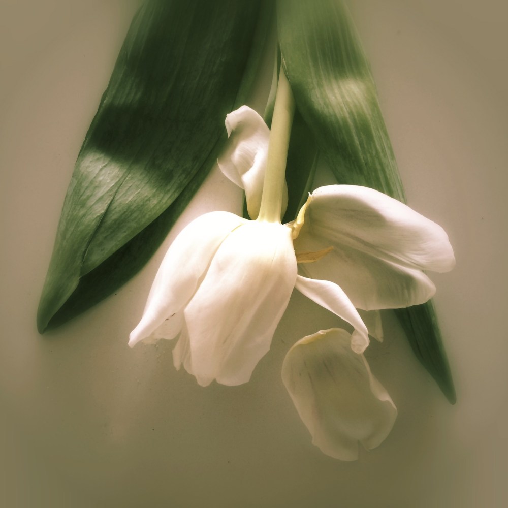 0705472D-55FE-4416-8461-3A2DF7806395