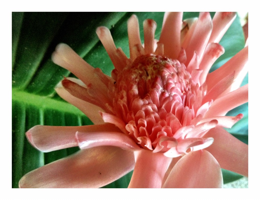 23B795DB-4FCF-4D6B-B66B-853B85A2C119