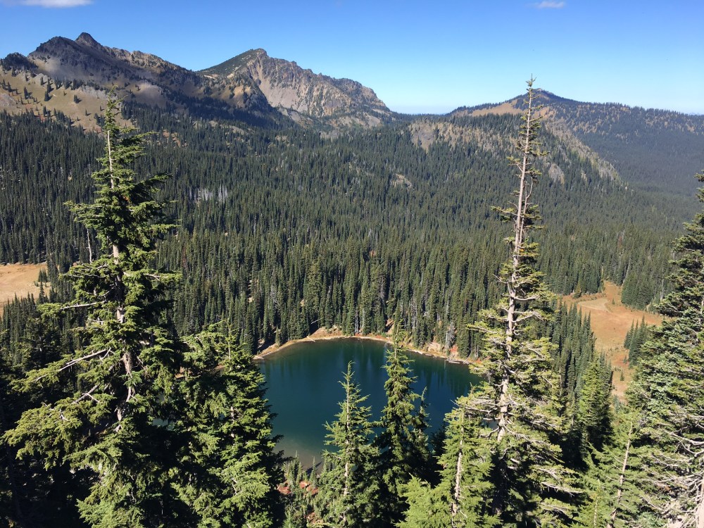 24096D3B-6E5C-4D06-80F4-0285B5CDC31C