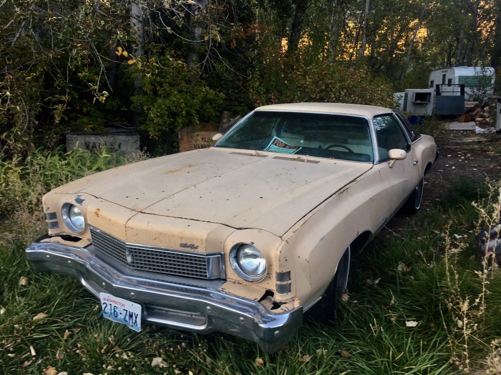 3E7A373D-79FF-40B5-8BAD-5A2AADB1A8A9