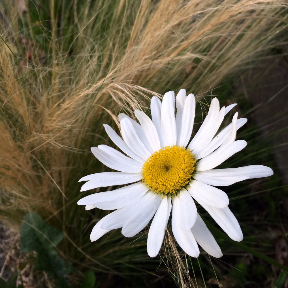 4669E94B-B226-4324-A04D-E2972E36F9F3