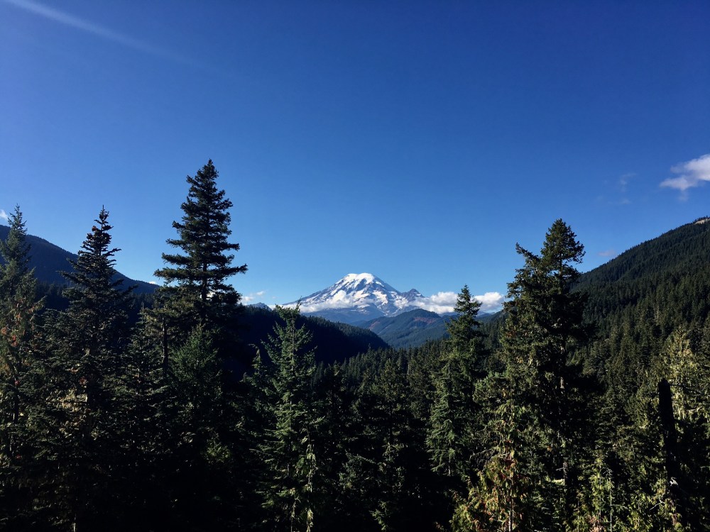 5240C8FB-0488-4122-86F9-81B77D6B6A91