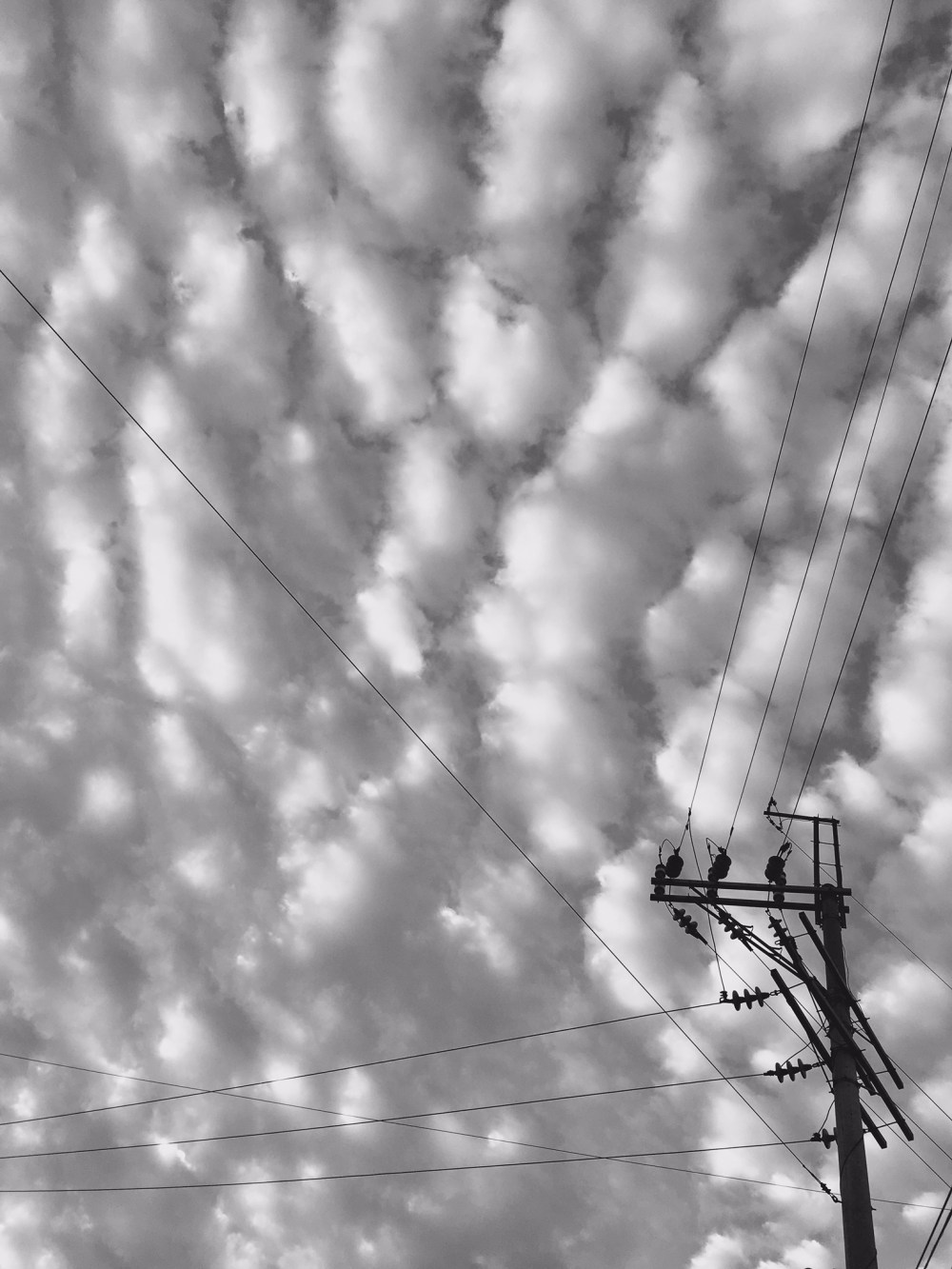 585A037B-4F4E-4BE9-9347-EC5943B05210