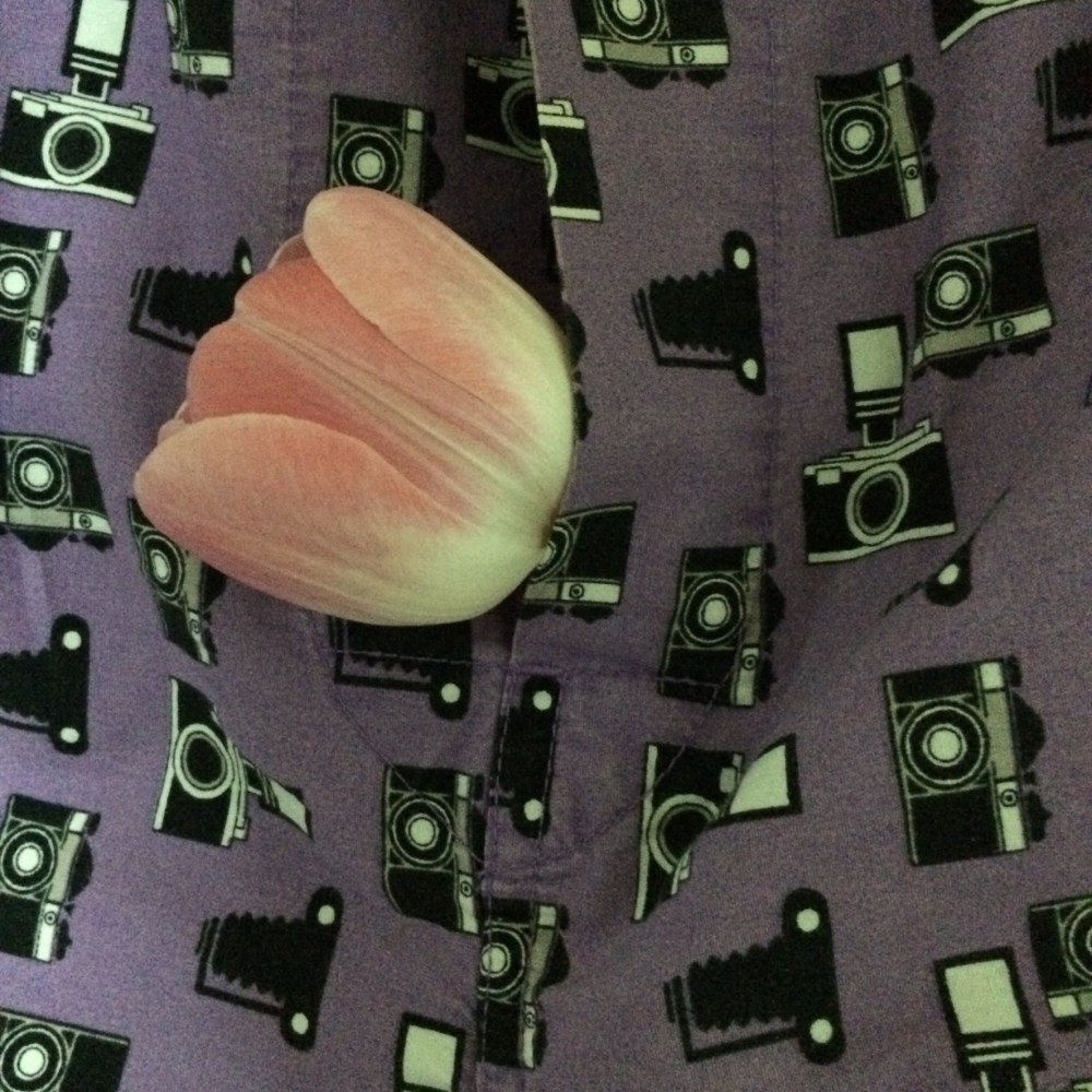 6BD701A6-D98D-4CA6-8A0F-A4517030916F