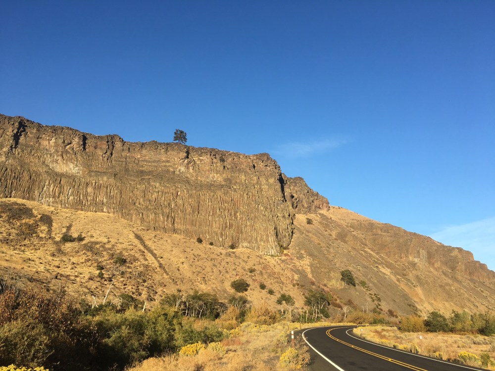 81250D36-F896-42BB-9E53-3ADF1ACBB6B5