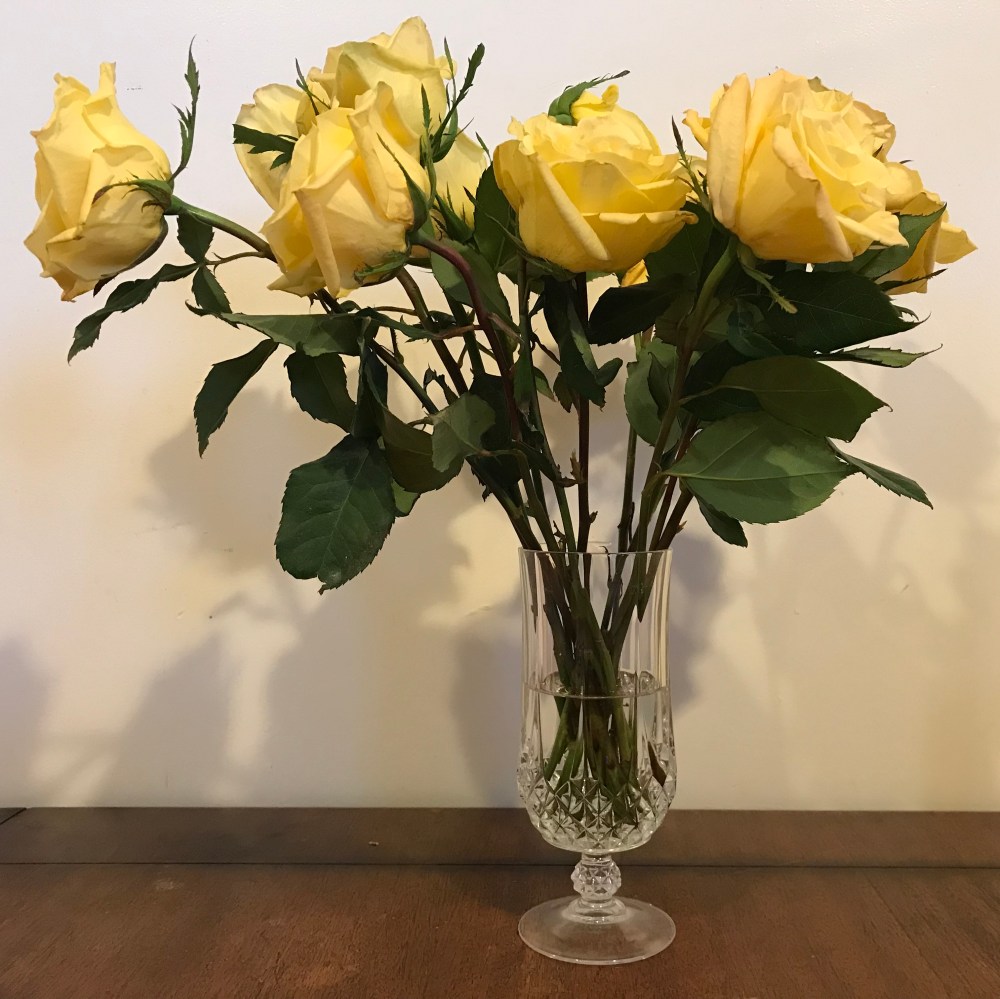 97A8B544-0416-4C5F-B652-372FEF6E12BA