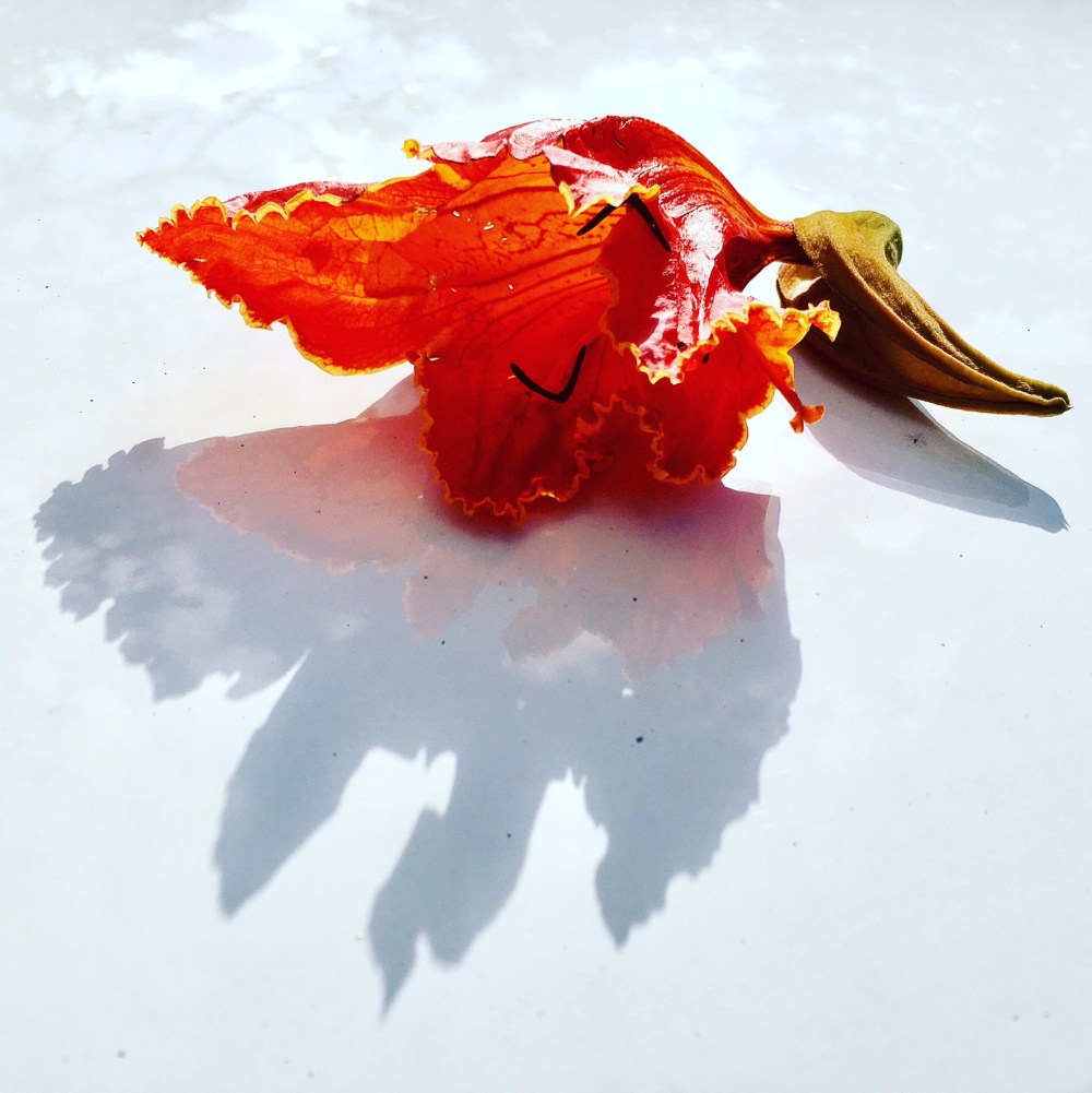 B04C2227-CEE4-4632-B7D9-581664071010