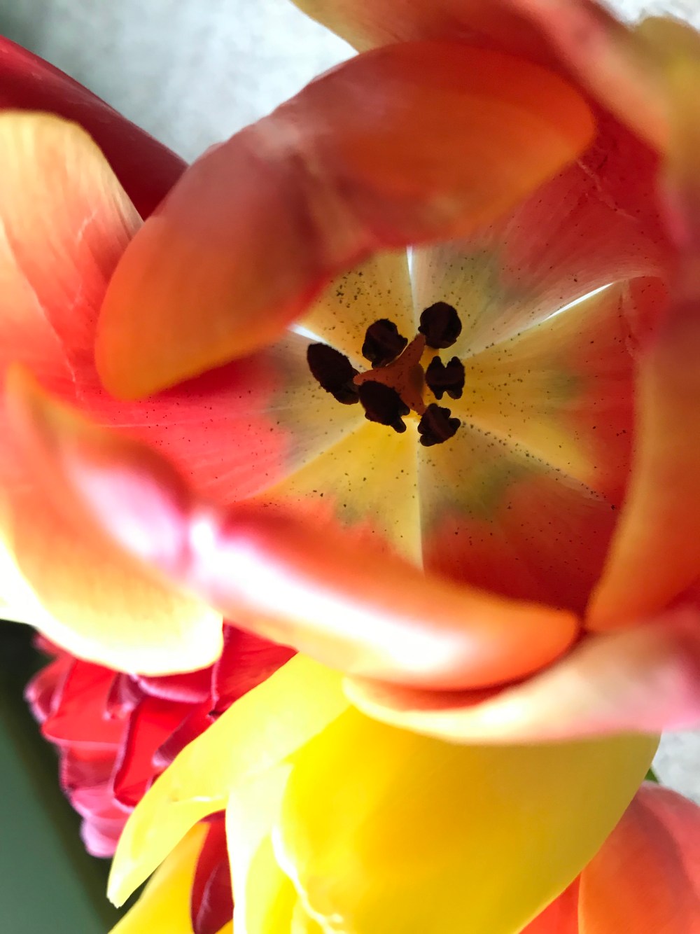 B3FE53BE-CFF6-46ED-B7FE-EA868BE981F3