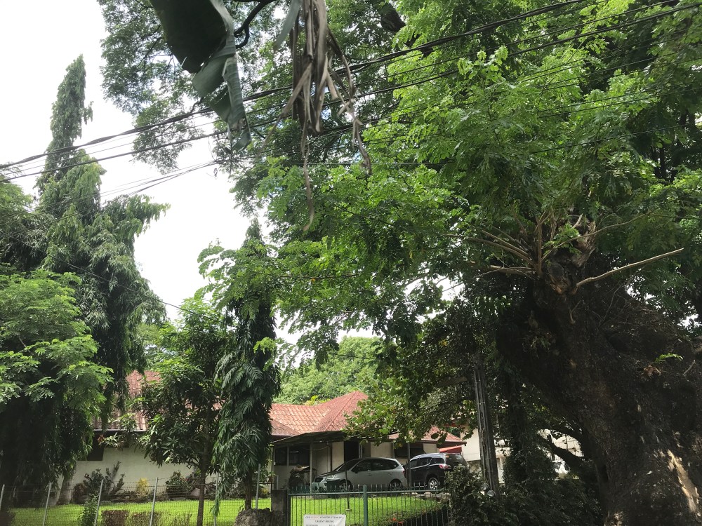 B40EB6BD-A38A-4256-B45C-14E6A135149E