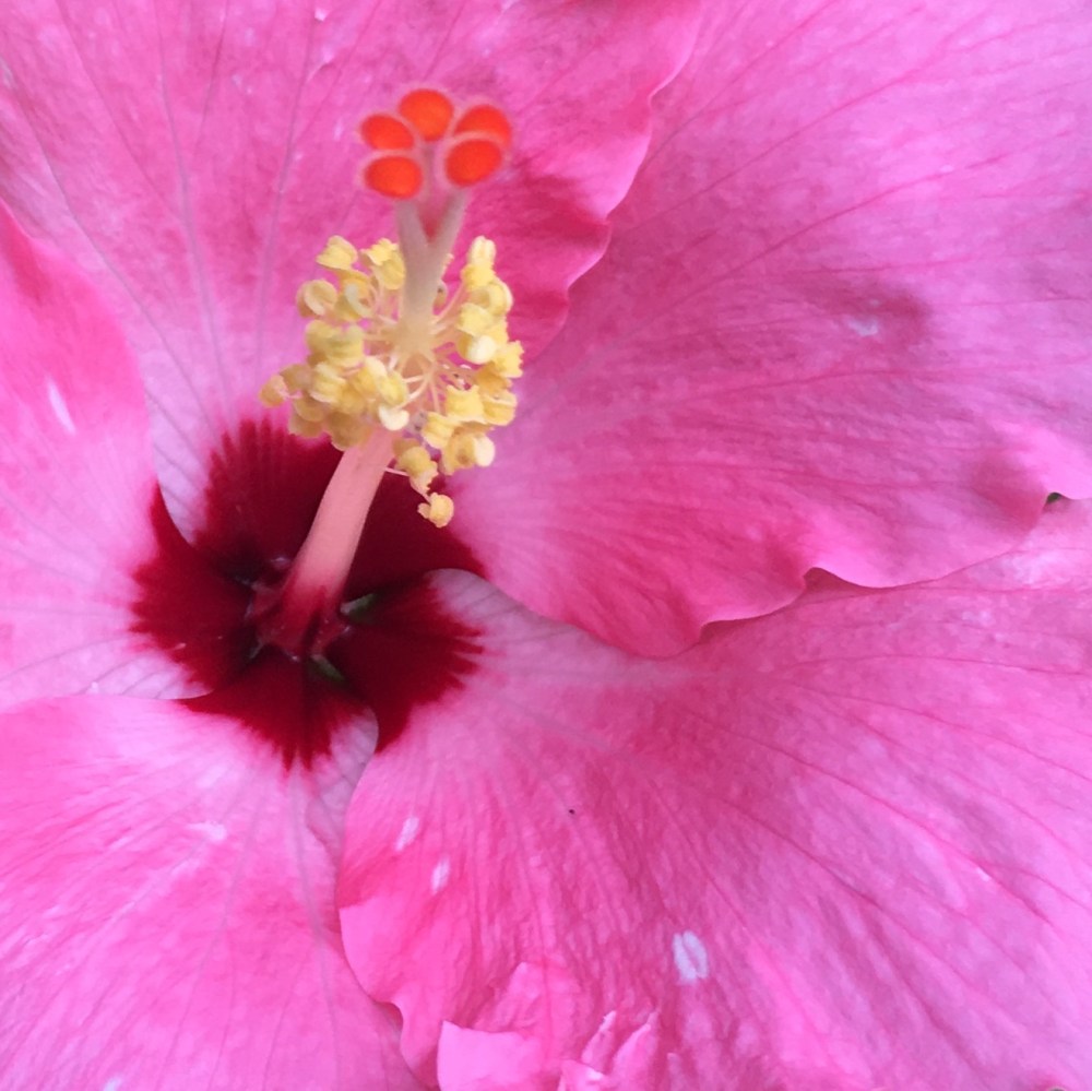 BE860206-574F-4E7E-9ED3-62186CFBA526