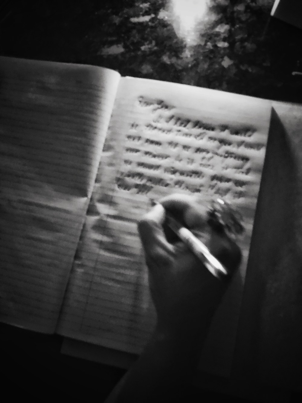 CC06E01E-BBCD-4D2E-BC32-35A52E142A0F