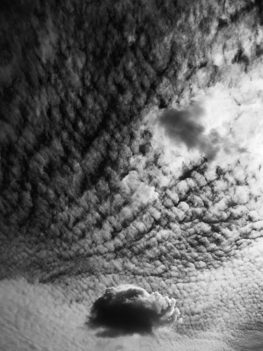 D9BAF85E-1D0E-4F7D-8FA6-34ADFA757C9F