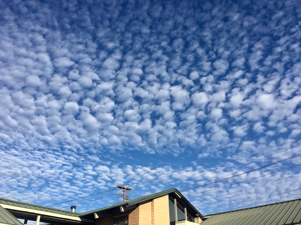 E06DCF39-E9C5-4DBE-8256-45B4350557FC