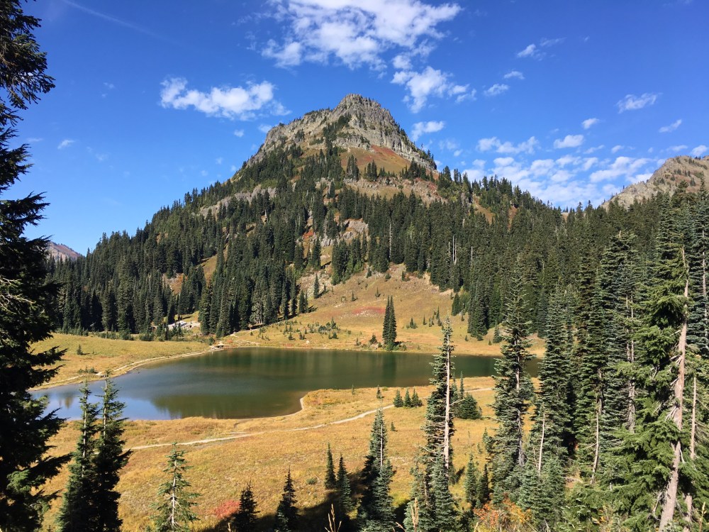 EB0FB989-2F91-46FE-AAFC-C8C043ABB0EF