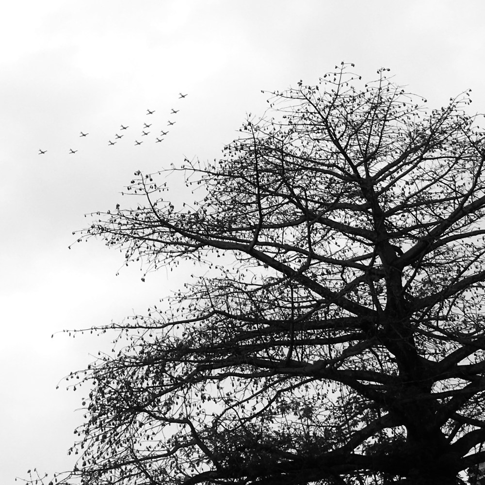 8A20130B-2364-44FC-894D-71889E964F1E