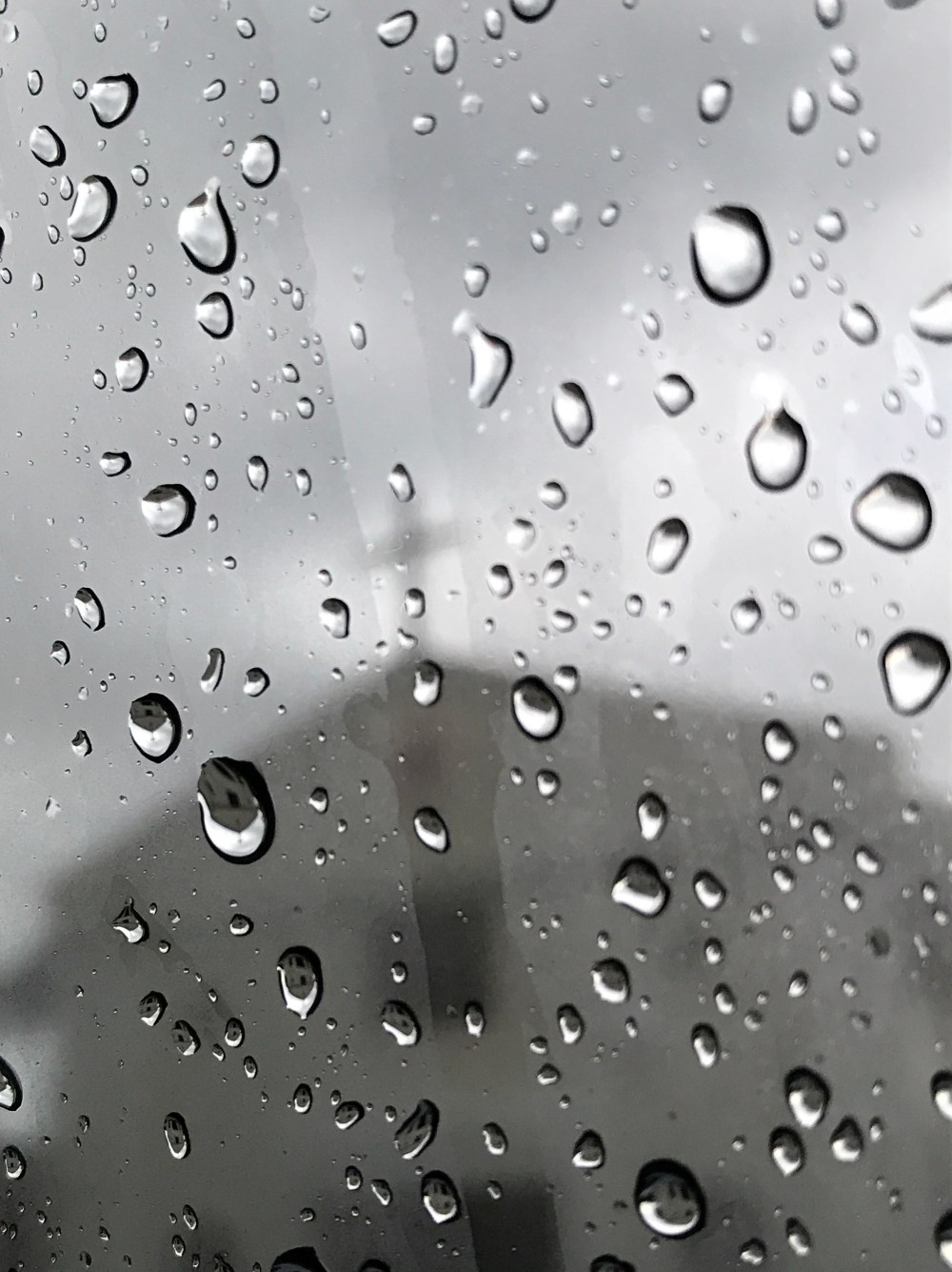 A93239E0-F6AB-476F-A5CE-1D5A40962F8C