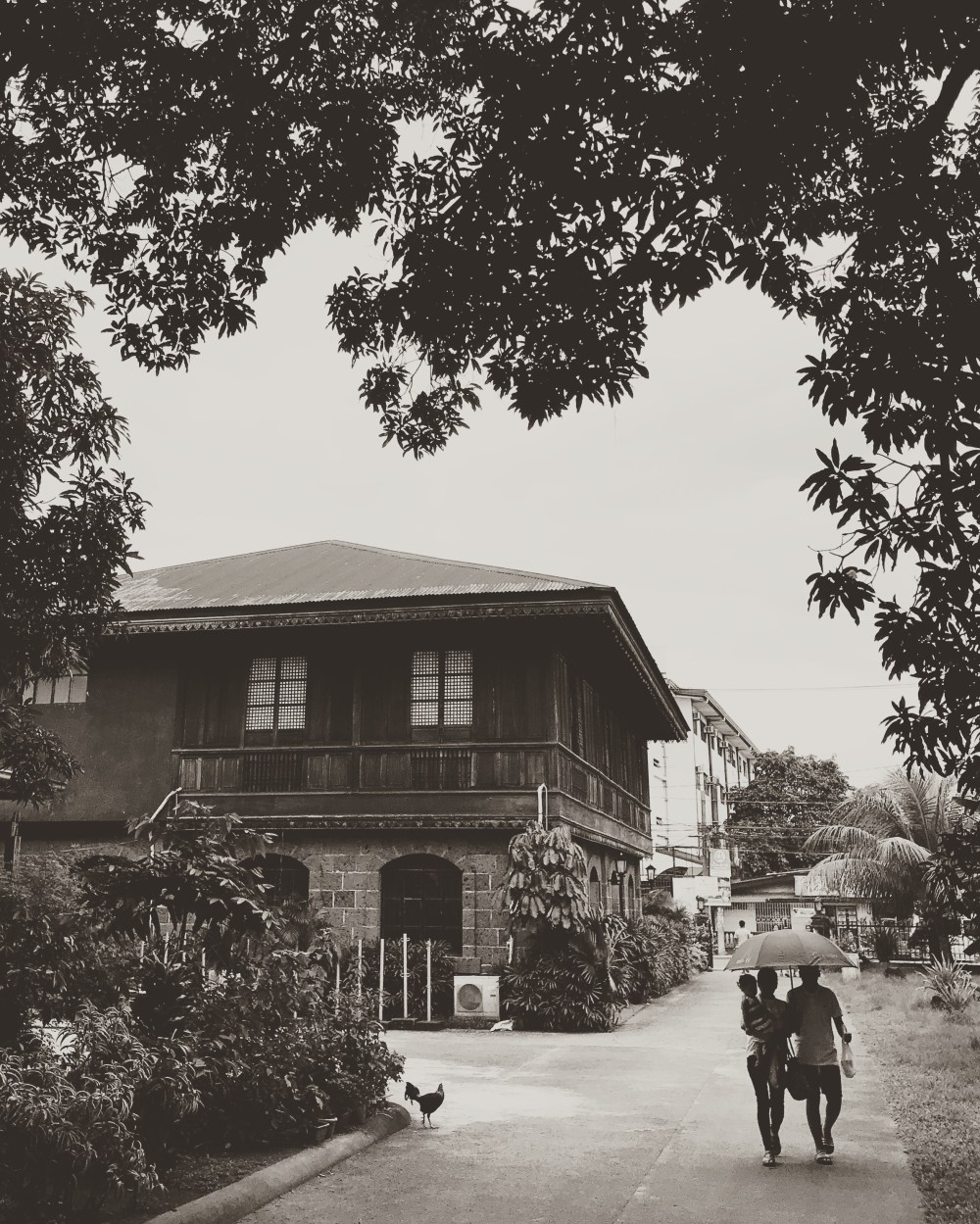 C2312959-20D7-4663-9CE9-856261A8E088