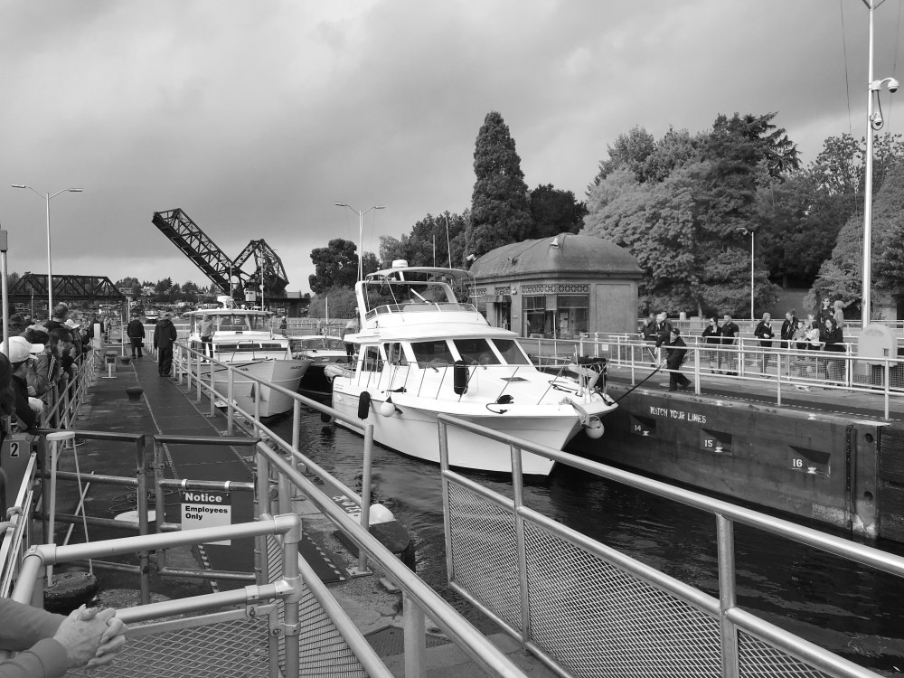 098E7EEE-46A0-4A4E-B1D9-5E8714489CEE