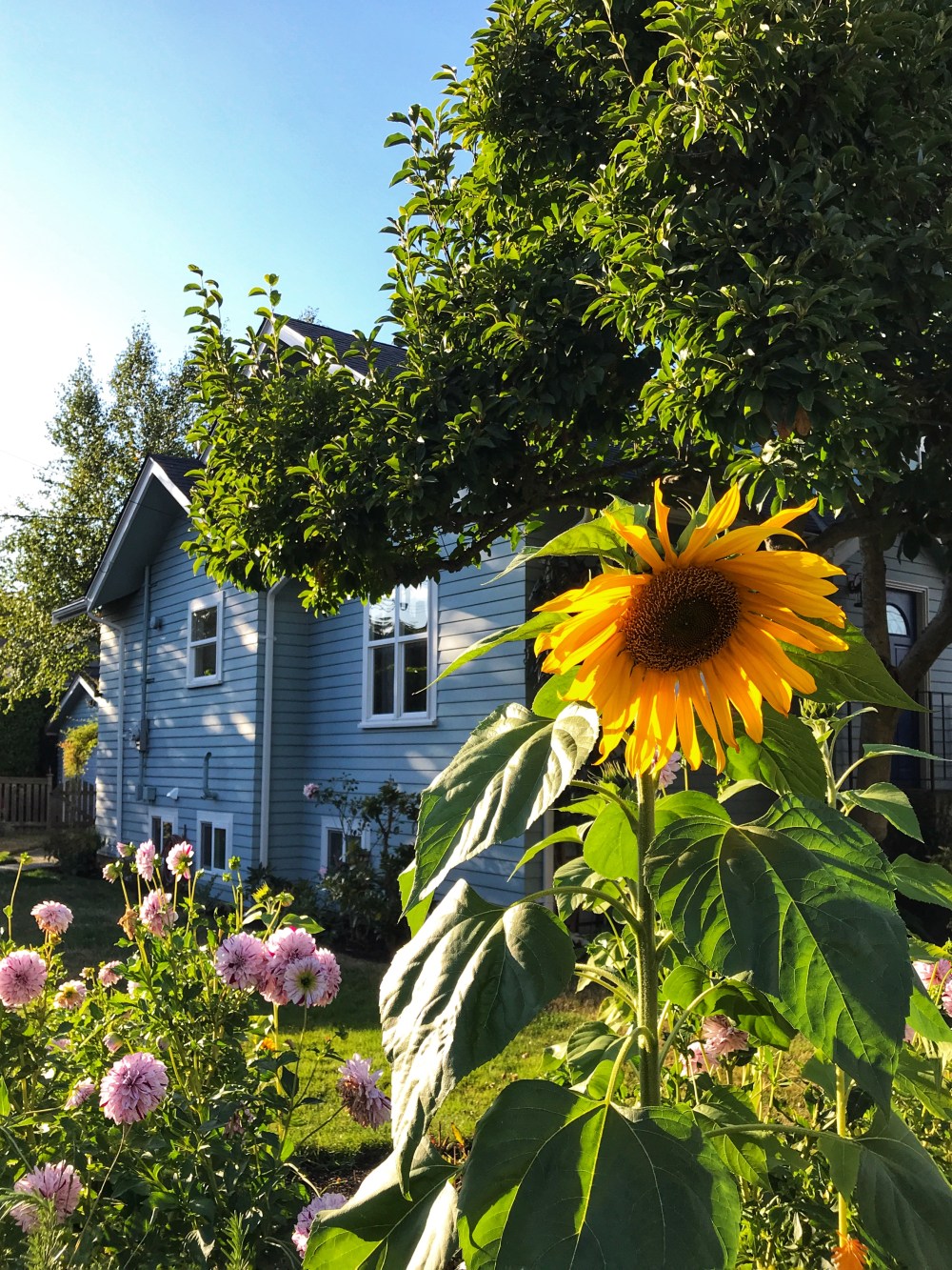 18F2CB82-644E-4A79-8E09-CA77CA0CE18B