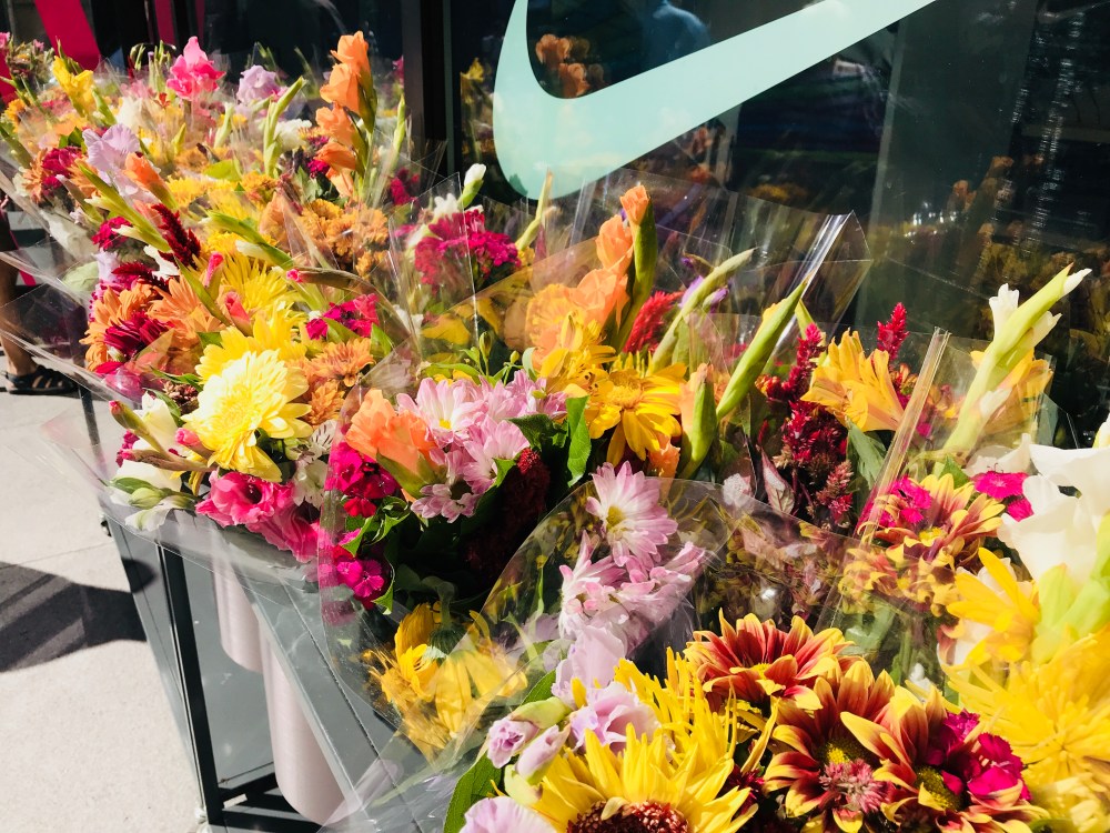 1994A644-F280-48E1-B15A-ABFC75F24CDE