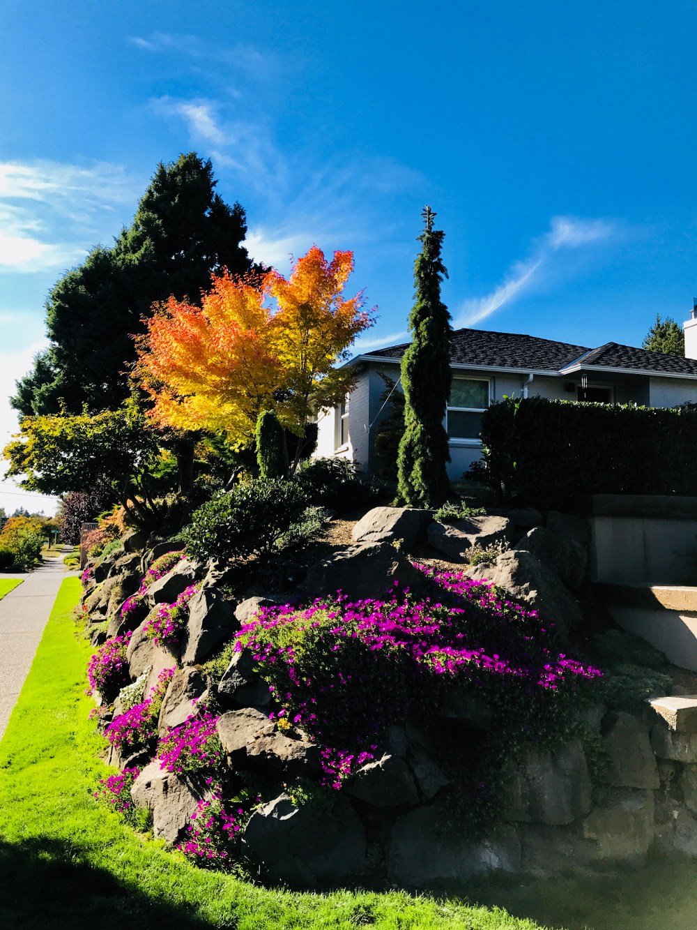 2675105C-1FA1-474F-B04B-FBC502D158BD