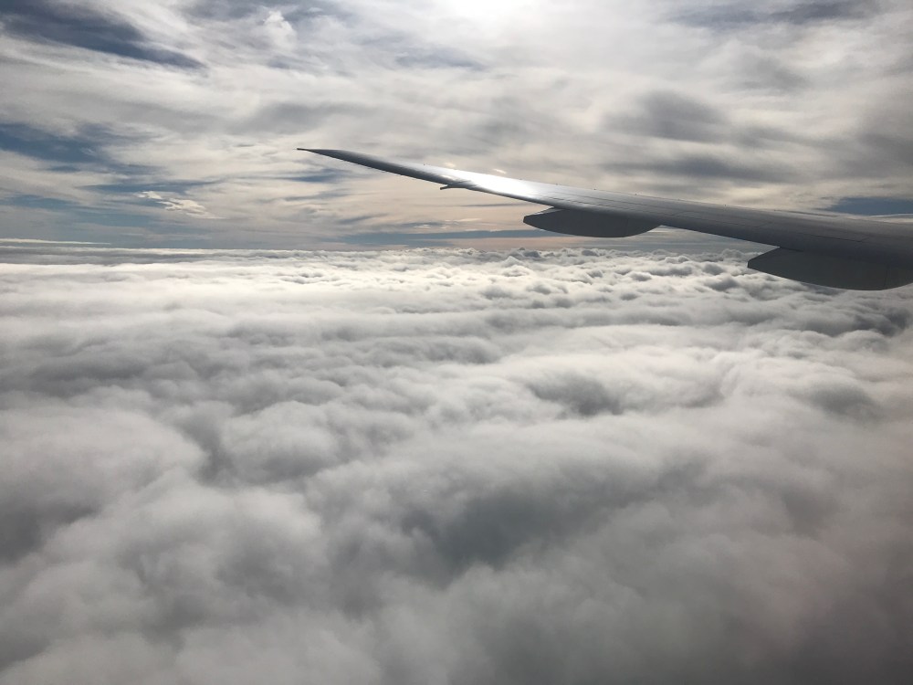 32C056A2-7BDA-4415-B779-D8F94D028444