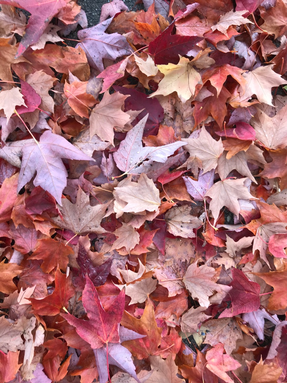 3F21B996-165E-4E14-9AFD-AB258A414517