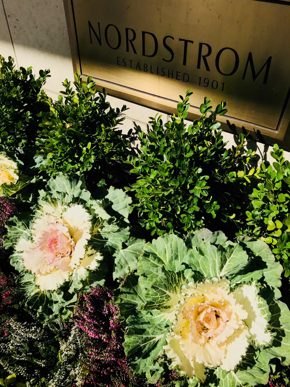 4C0B802F-D74F-4852-8178-70D43B773CA5