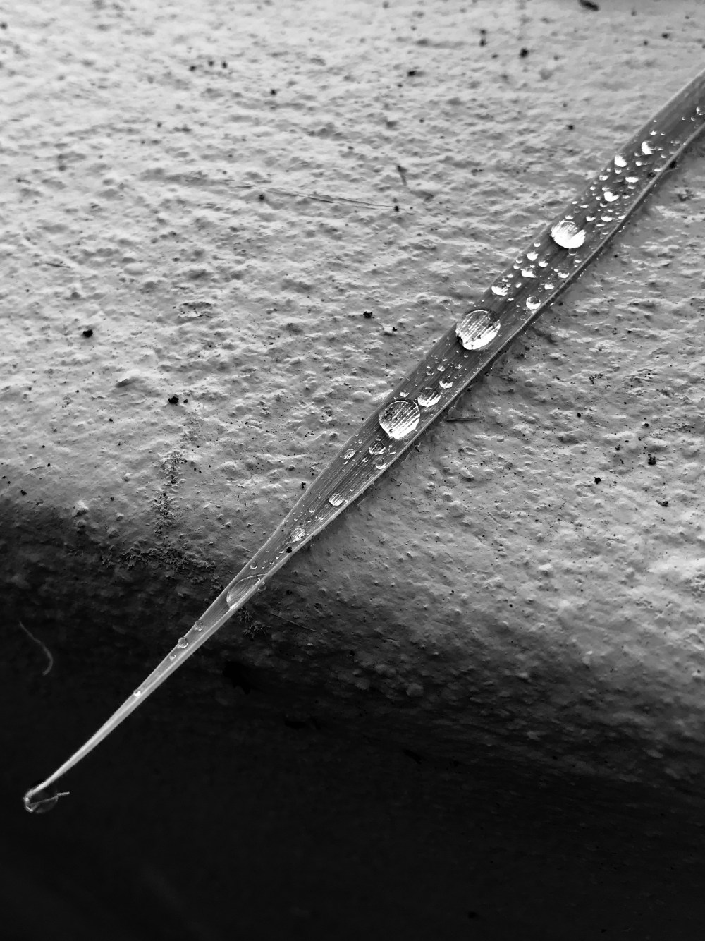 508F86CF-54D8-4C0A-AEB2-E6A019CF5798