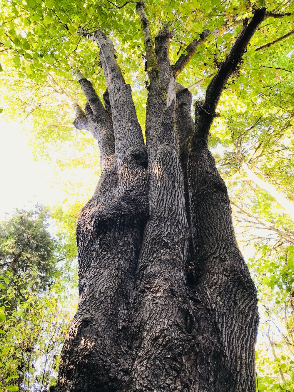 51B8B161-5972-41DC-AEA9-FD14ED18F1BD