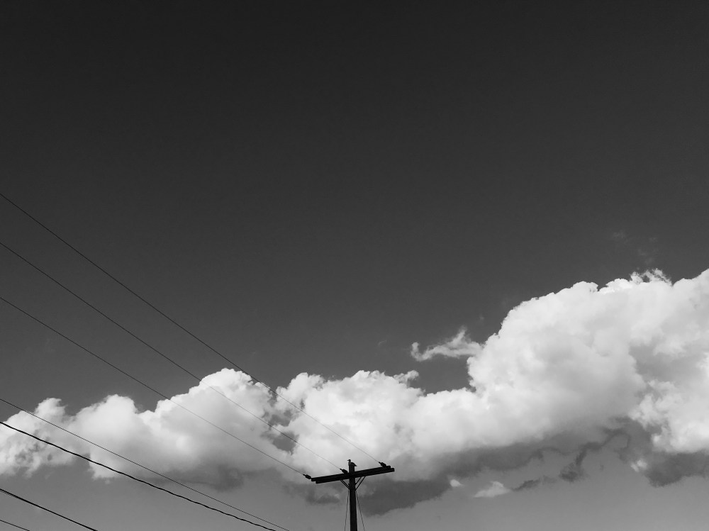 5343E6E5-B7F5-4D67-A406-8B91A66671F8