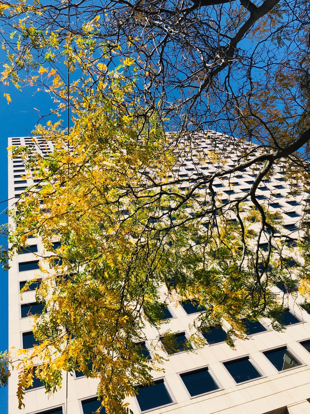 66AF7616-33AD-4F32-BA71-53E9C276F0AC