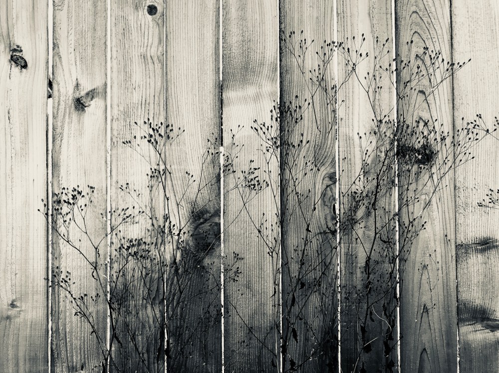 7A8C32DF-C30B-423B-A474-53C41DB64AD6