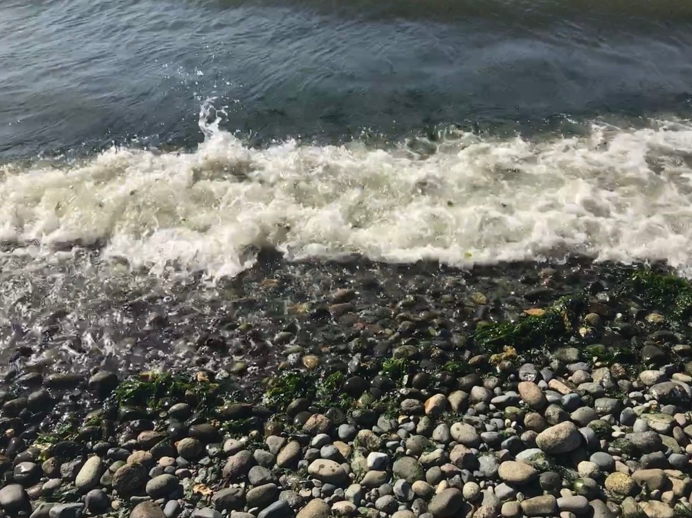 7E4C9A3C-9264-45BF-A9DC-E4E1DE218711