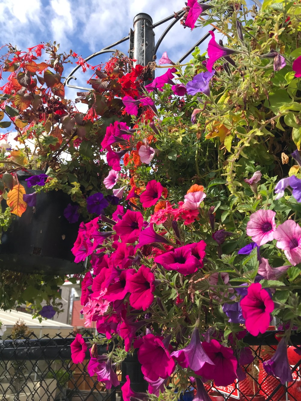 8195C1CB-15ED-4171-A9A8-74DDB24403A3