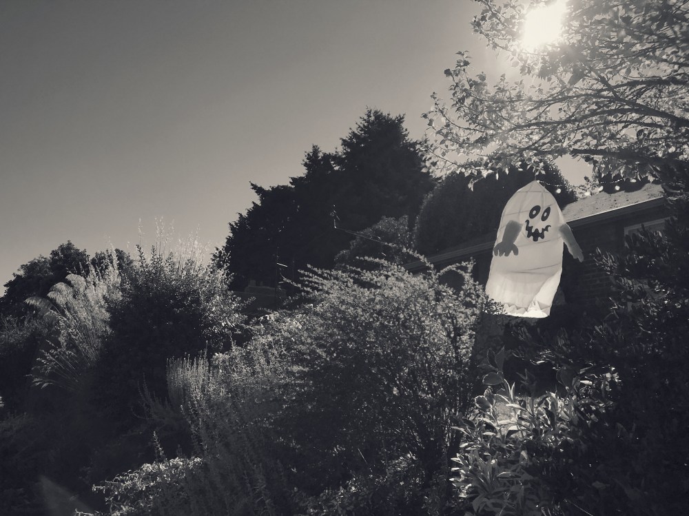 9809EC86-AAF3-4FDA-A3EF-1C941F3A065B