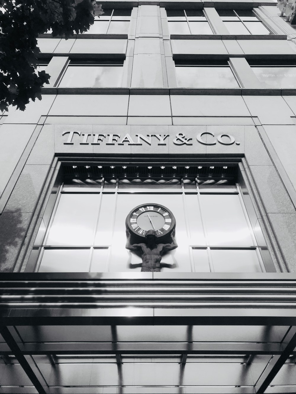 B78C272B-BB31-46F6-936C-1BFE87968682