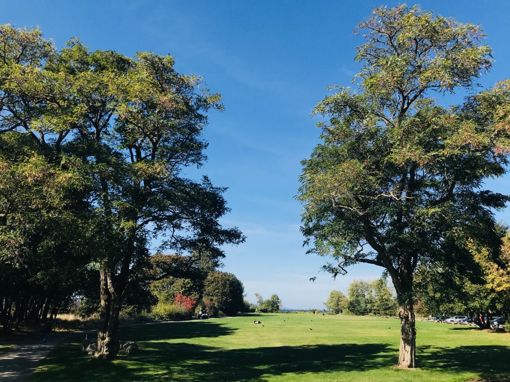 CE495EFE-6B57-4C5E-8177-B4CB0BD969A5