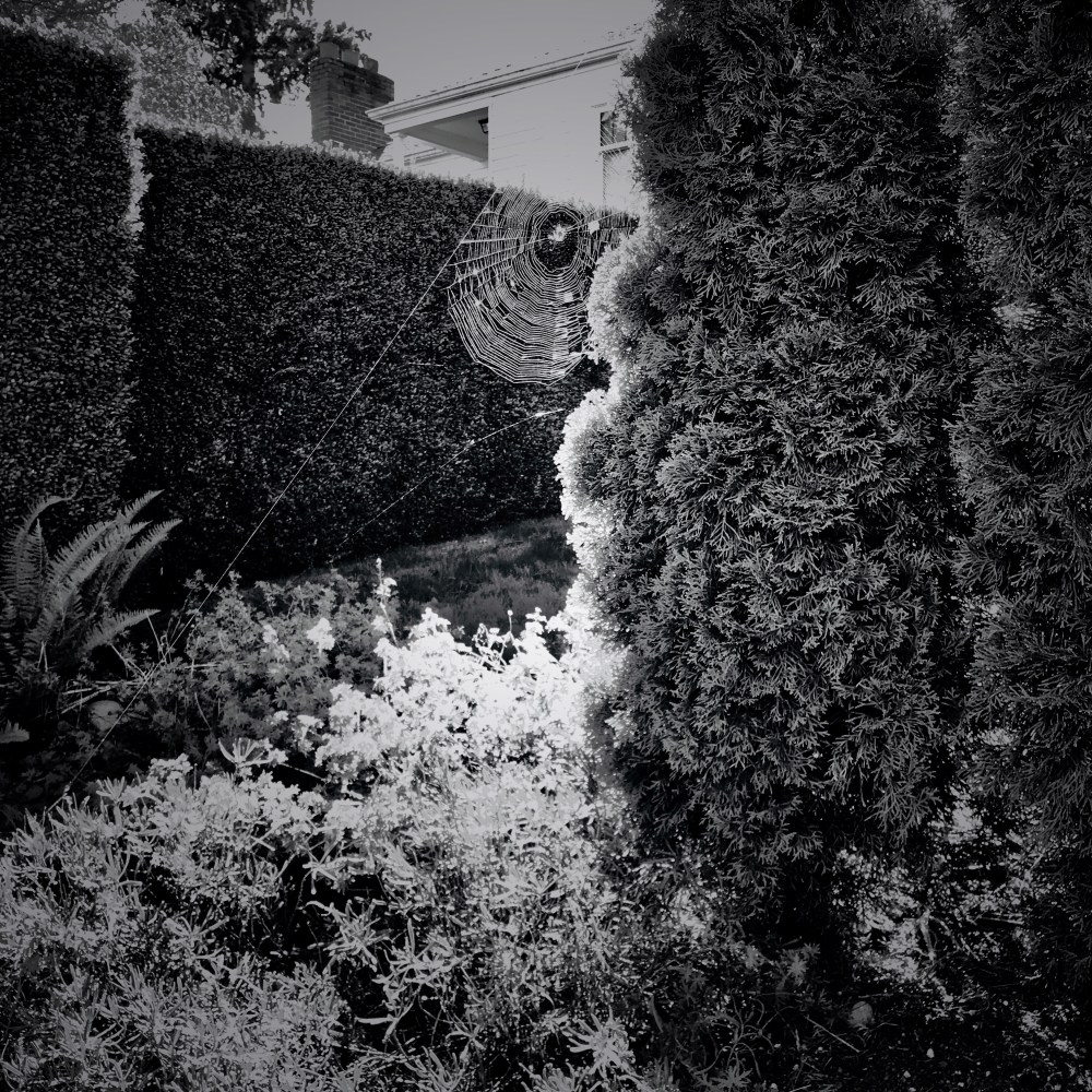 DC863EE2-B9BE-4FB3-AE15-F8AC1C31C23E