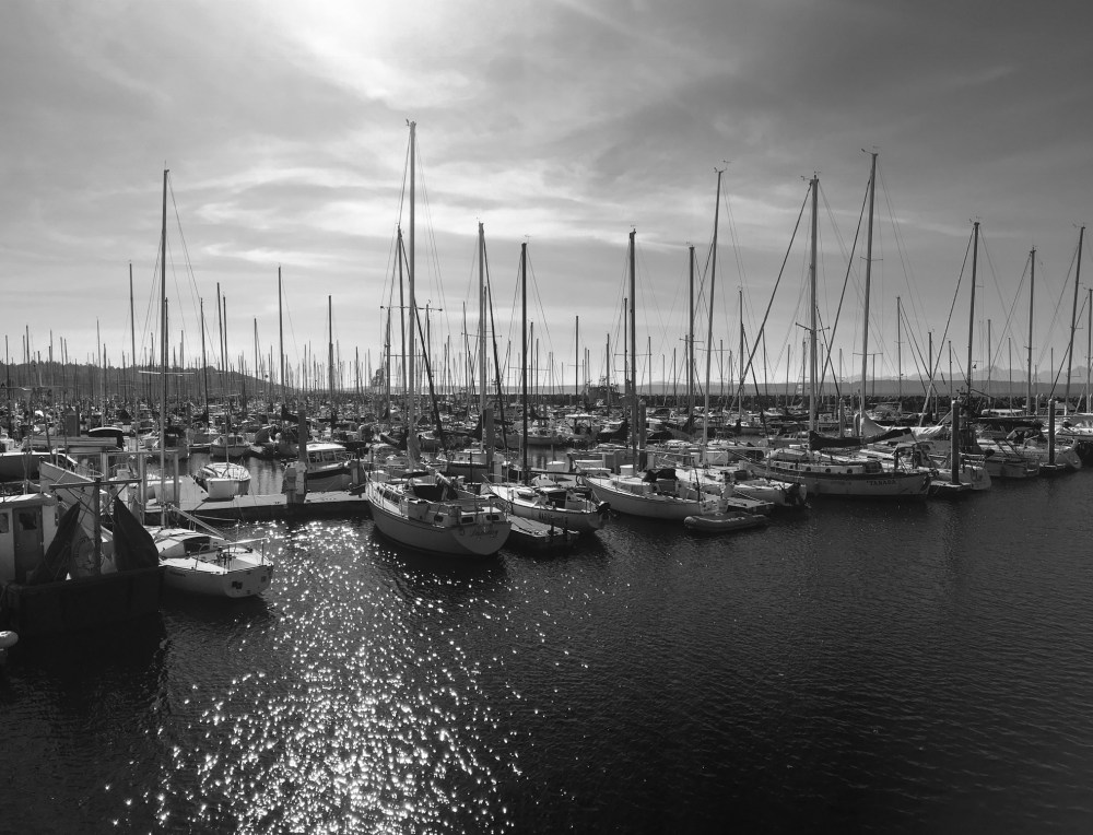 E4C2AE75-2B20-4C56-8EB3-FBC946148C44