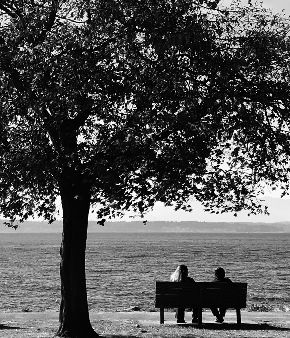 E9BD3F20-92A4-4B6F-B3CF-0E5658AE8ADF